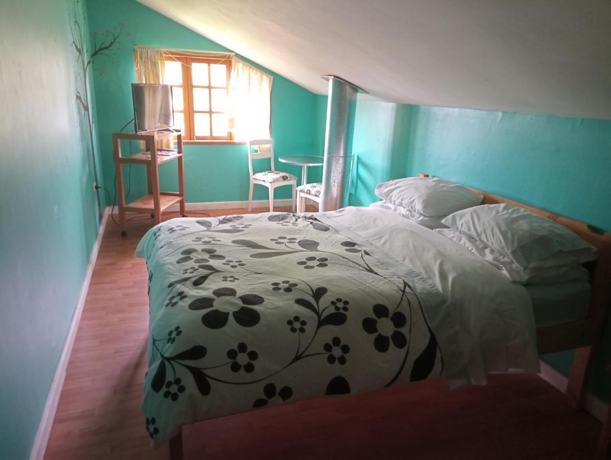 Omi Kika B&B Villarrica Exterior foto