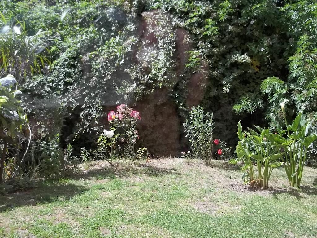 Omi Kika B&B Villarrica Quarto foto